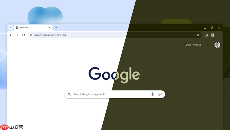 谷歌Chrome浏览器网页版入口详解，从快速访问到高效使用的完整攻略